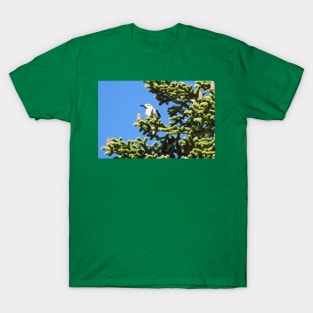 Clark's nutcracker, birds, wildlife, nature, gifts, Forest Gem T-Shirt